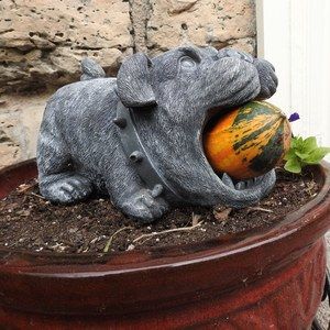 Meet your Posher, Gail